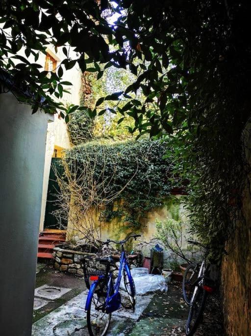 Florentine Style Apartment In San Frediano Firenze Bagian luar foto